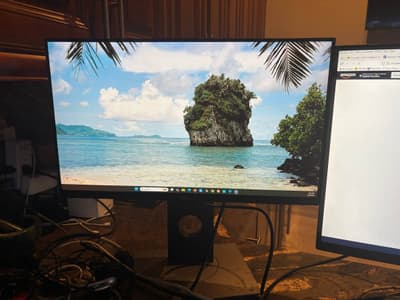 Monitor Dell de 22"